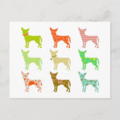patterned-chihuahuas briefkaart (Voorkant)