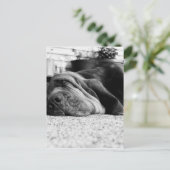 Patti Bloodhound Briefkaart (Staand voorkant)