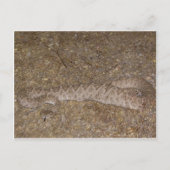 Patti Jares (Wickenburg, AZ) Rattlesnake Bite Briefkaart (Voorkant)