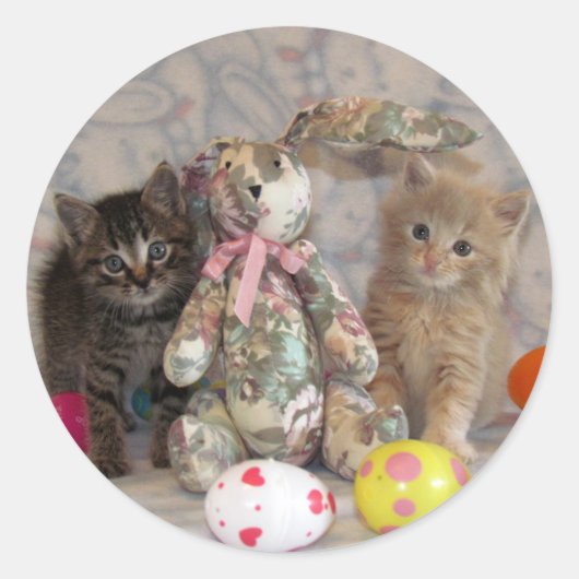 Patton en Buffington Cat/Kitten Stickers (Voorkant)