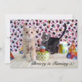 Patton en Buffington (kat/ katje) Verjaardag Kaart (Voorkant)