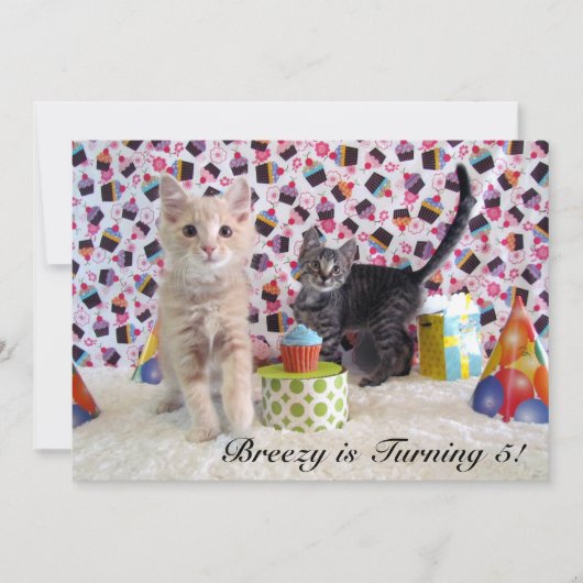 Patton en Buffington (kat/ poesje) Verjaardag Kaart (Voorkant)