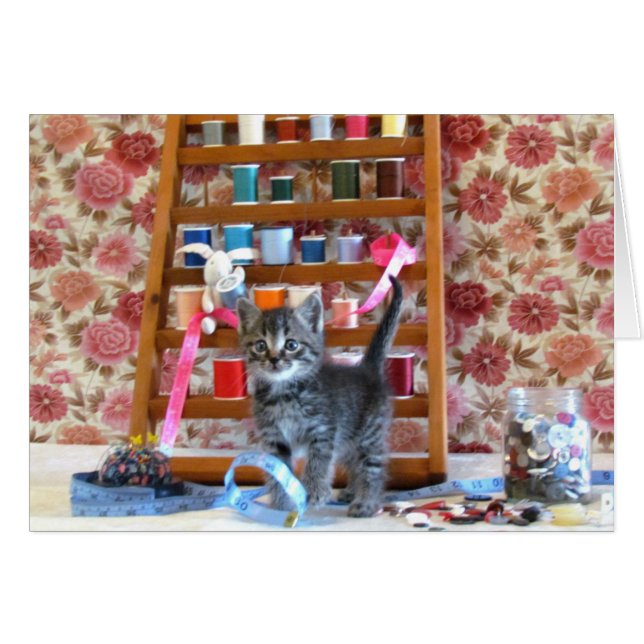 Patton - Sew Sew Good (Voorkant Horizontaal)