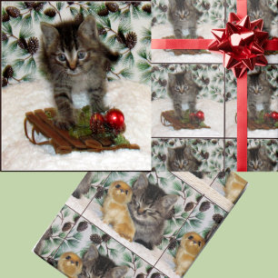 Patton's Christmas Playtime - Kattenkerst Cadeaupapier