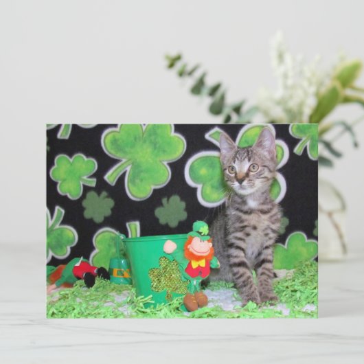 Patton's St. Patrick's Day Cat/Kitten-Flat Kaart (Staand voorkant)