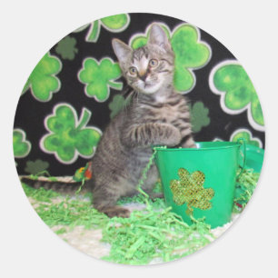 Patton's St. Patrick's Day Cat/Kitten Stickers