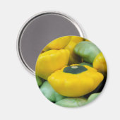 Pattypan Squash Magneet (Voorkant / Achterkant)