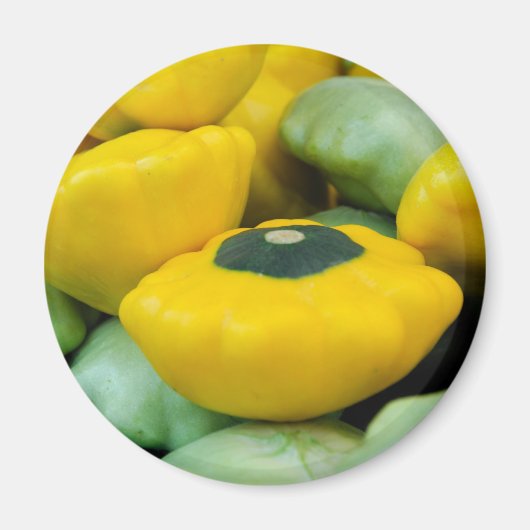 Pattypan Squash Magneet (Voorkant)