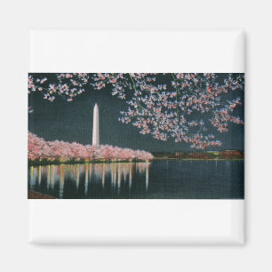 PAU42 Washington bij Night.tif Magneet