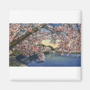 PAU43 Tidal Basin.tif Magneet