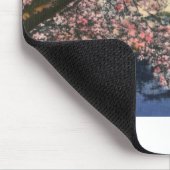 PAU43 Tidal Basin.tif Muismat (Hoek)