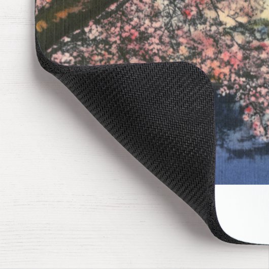 PAU43 Tidal Basin.tif Muismat (Hoek)