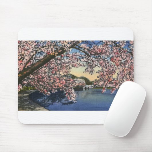 PAU43 Tidal Basin.tif Muismat (Met muis)