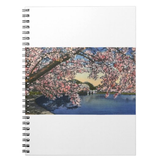 PAU43 Tidal Basin.tif Notitieboek (Voorkant)