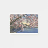 PAU43 Tidal Basin.tif Post-it® Notes (Voorkant)