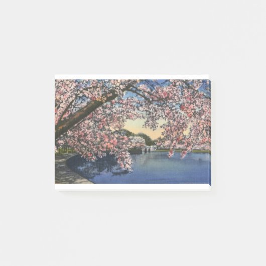 PAU43 Tidal Basin.tif Post-it® Notes (Voorkant)