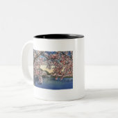 PAU43 Tidal Basin.tif Tweekleurige Koffiemok (Voorkant links)