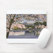 PAU44 Lincoln Memorial.tif Muismat (Met muis)