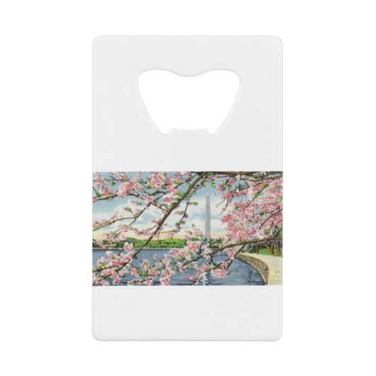 PAU45 Washington Monument 2.tif Creditkaart Flessenopener (Voorkant)