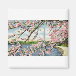 PAU45 Washington Monument 2.tif Magneet