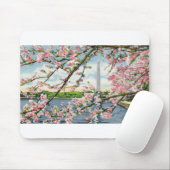 PAU45 Washington Monument 2.tif Muismat (Met muis)