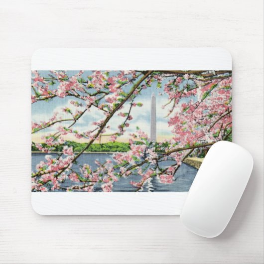 PAU45 Washington Monument 2.tif Muismat (Met muis)