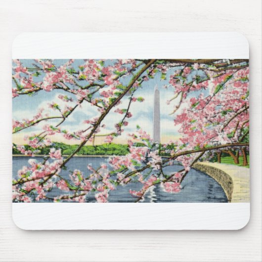 PAU45 Washington Monument 2.tif Muismat (Voorkant)