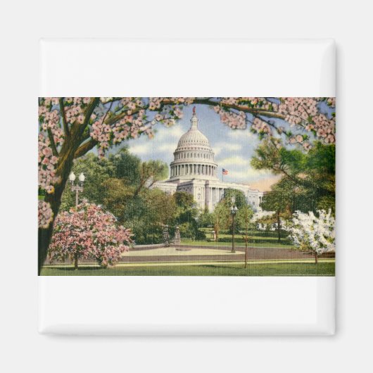 PAU46 US Capitol.tif Magneet (Voorkant)