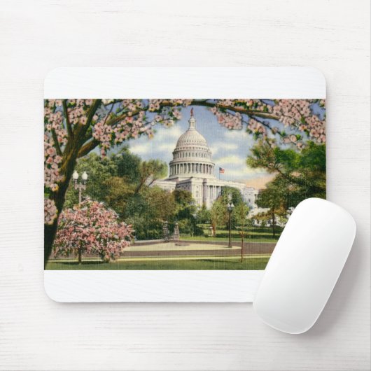 PAU46 US Capitol.tif Muismat (Met muis)