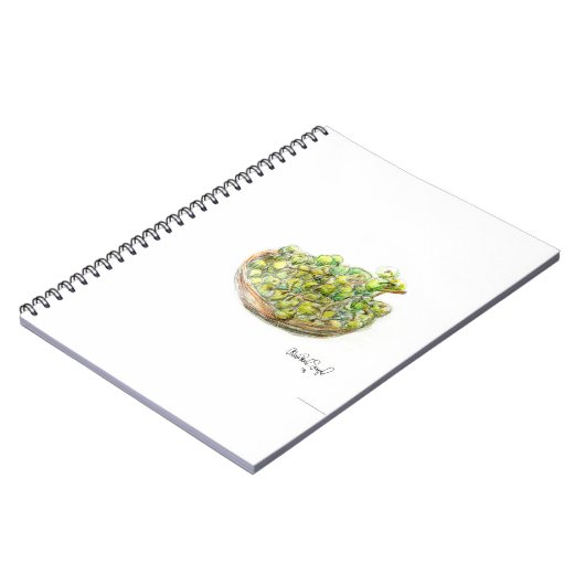 PAU55 Fruit 2.tif Notitieboek (Linkerzijde)