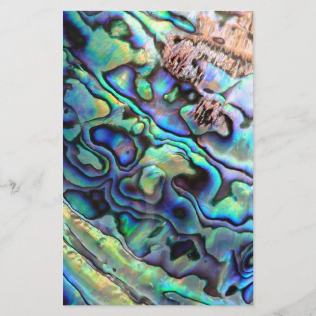 Paua abalone shell detail (Voorkant)