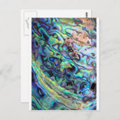 Paua abalone shell detail briefkaart (Voorkant / Achterkant)