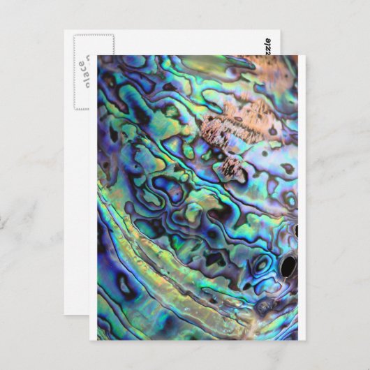 Paua abalone shell detail briefkaart (Voorkant / Achterkant)
