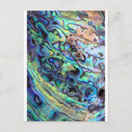 Paua abalone shell detail briefkaart