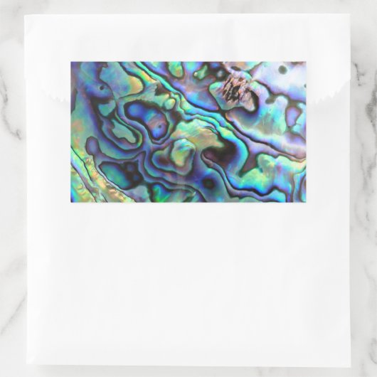 Paua abalone shell detail rechthoekige sticker (Tas)