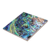 Paua abalone shell detail tegeltje (Zijkant)