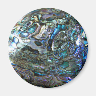 PAUA DESIGN MAGNEET