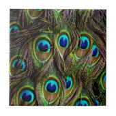 paukpatroon tegeltje (Voorkant)