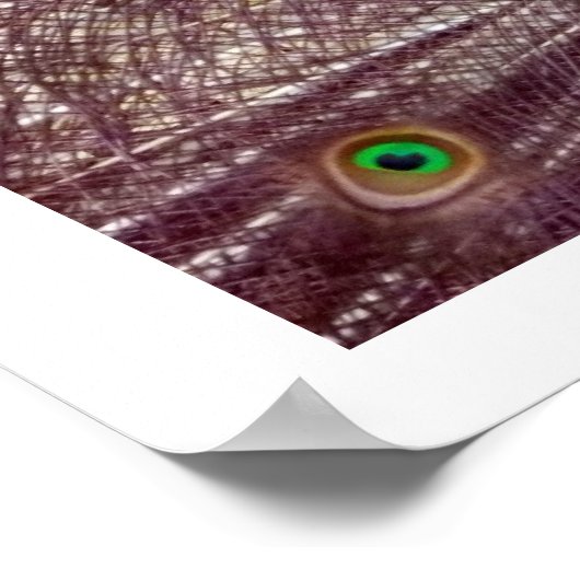 paukveren poster (Hoek)