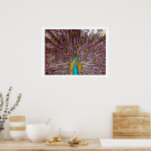 paukveren poster (Keuken)