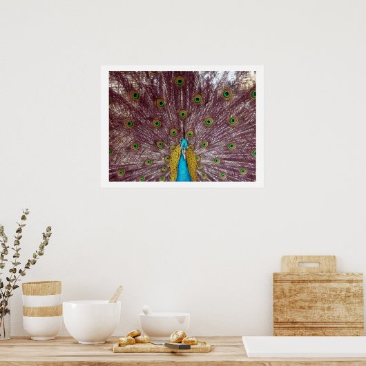 paukveren poster (Keuken)