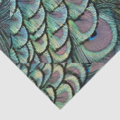 paukveren tissuepapier (Detail)