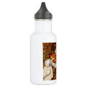 Paul Cezanne Appels Sinaasappels Print Impressioni Waterfles (Links)