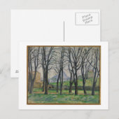 Paul Cezanne | Chestnut Trees te Jas de Bouffan, c Briefkaart (Voorkant / Achterkant)