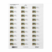Paul Cezanne - De Mand met Appels Etiket (Full Sheet)