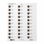 Paul Cezanne - Roker Etiket (Full Sheet)