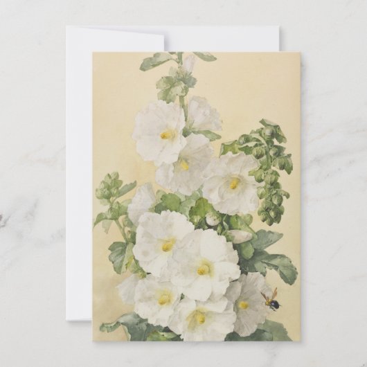 Paul De Longpre - Hollyhocks 1901 Kaart (Voorkant)