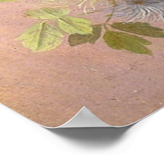 Paul-de-Longpre-vogels en bijen Poster (Hoek)