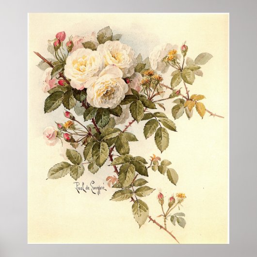 Paul De Longpré's Guinevere-Rozen Poster (Voorkant)