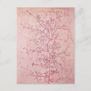 Paul Klee - Roze lente in Deep Winter Briefkaart